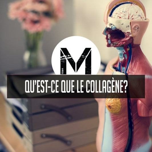 Qu’est-ce que le collagène ? - Minotaure Nutrition
